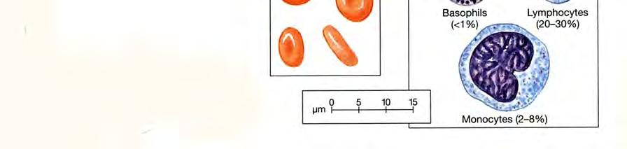 17 -