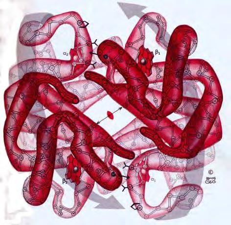 SDS- membranskih