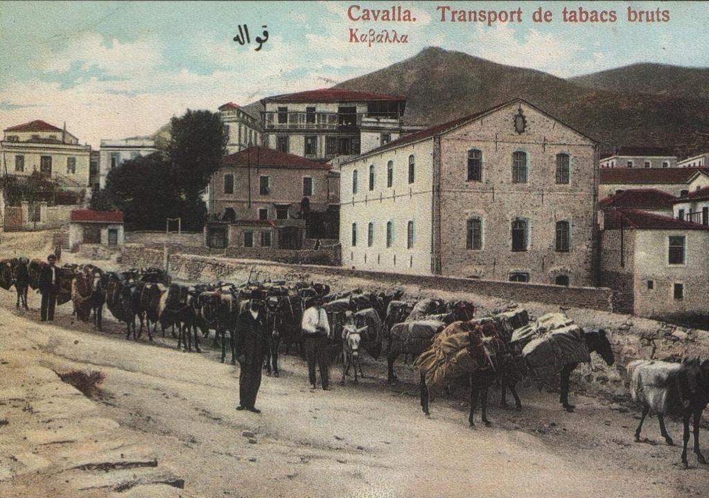 παιαηόηερε εηθόλα (δρόκος, άλζρωποη, δώα, θηίρηα); Τη κπορούκε λα σποζέζοσκε γηα