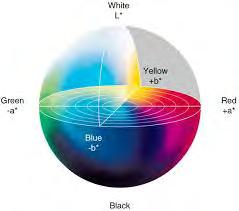 Χρωματικοί Χώροι 17 και Y n η φωτεινότητα του καθαρού άσπρου στο διάγραμμα CIE.