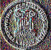 Η σωστή διαχείριση των επιπλεόντων φλοιών στους κόκκινους μούστους. Η φλούδα των σταφυλιών καλύπτεται συνήθως από βακτηρίδια, μύκητες και ζύμες.