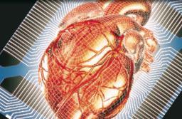 Majority of US Hypertensive Patients Not