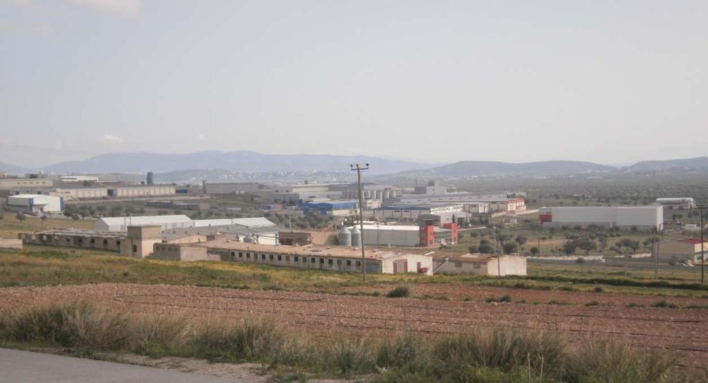 Τα ελάχιστα όρια εμβαδού και προσώπου καθώς και οι λοιποί όροι και περιορισμοί δόμησης των οικοπέδων ορίζονται κατά τομείς Ι και ΙΙ, όπως φαίνονται στα διαγράμματα του άρθρου ως εξής: Τομέας Ι
