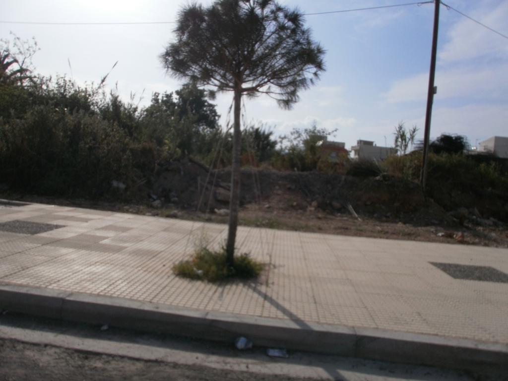 Εικόνα 50 Η πεζοδρόμηση