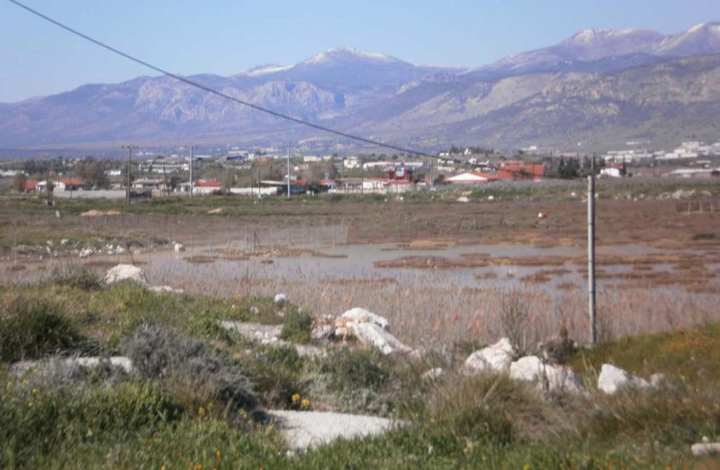 3.3 Καταγραφή Προβλημάτων Στο πρώτο στάδιο της έρευνας θα πρέπει να καταγραφούν οι κυριότερες πιέσεις που παρατηρούνται στην ευρύτερη περιοχή του υγροτόπου και αναμένεται να έχουν σημαντικές