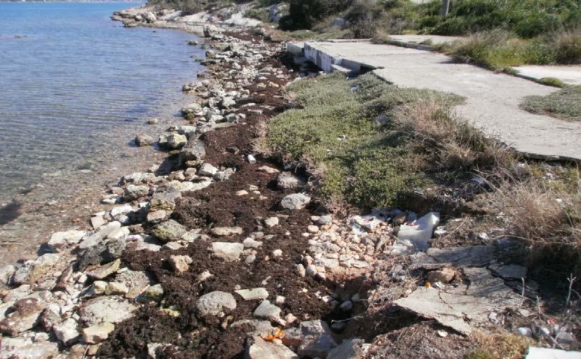 Εικόνα 64 Ο χάρτης αποτελεί τμήμα του νέου πολεοδομικού σχεδίου όπου με πράσινο