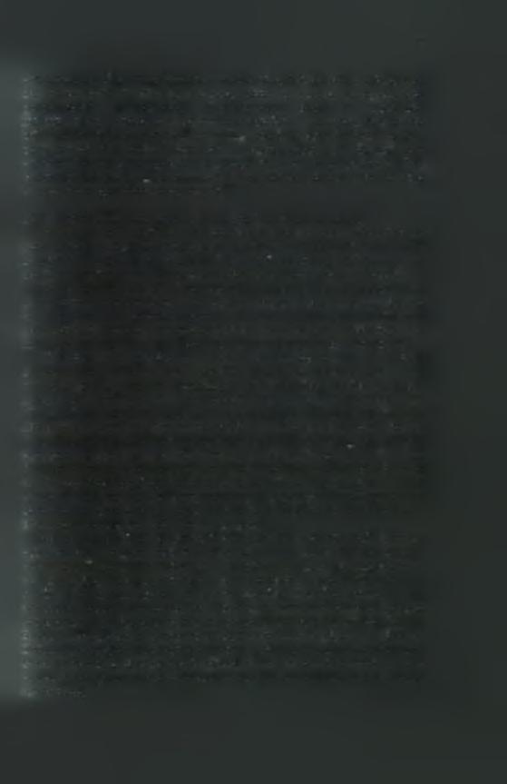 δαμασκηνιά, κερασιά και ροδακινιά.