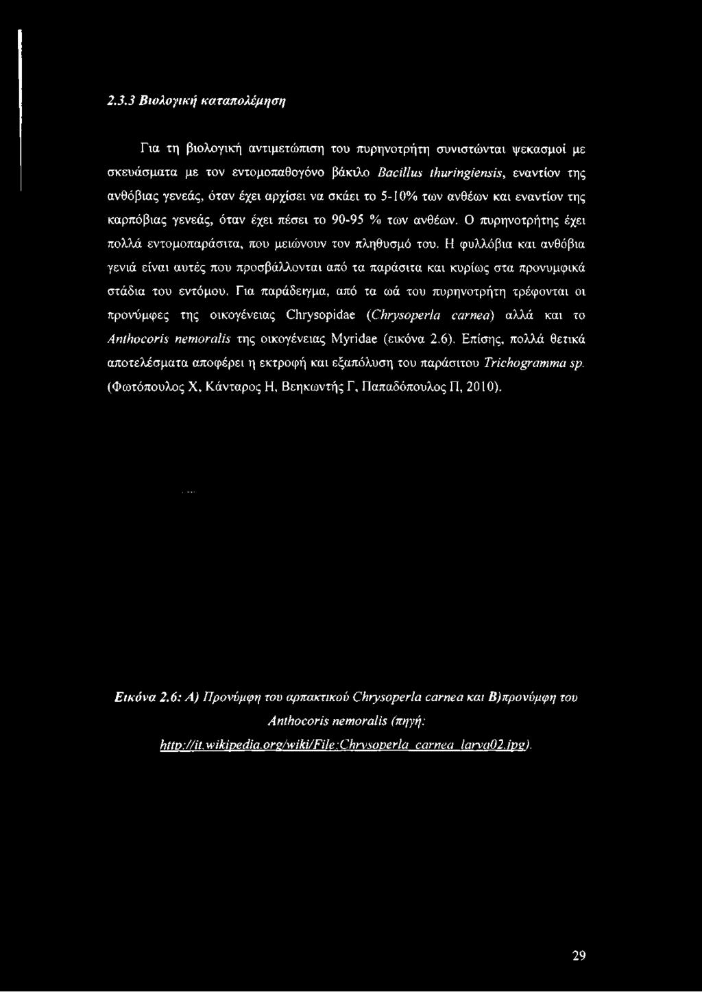 Ο πυρηνοτρήτης έχει πολλά εντομοπαράσιτα, που μειώνουν τον πληθυσμό του.