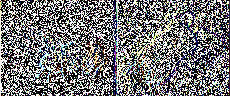 ua και (Γλο/οανΜί ΒιρΜίαΙαίΜ (εικόνα 2.10).