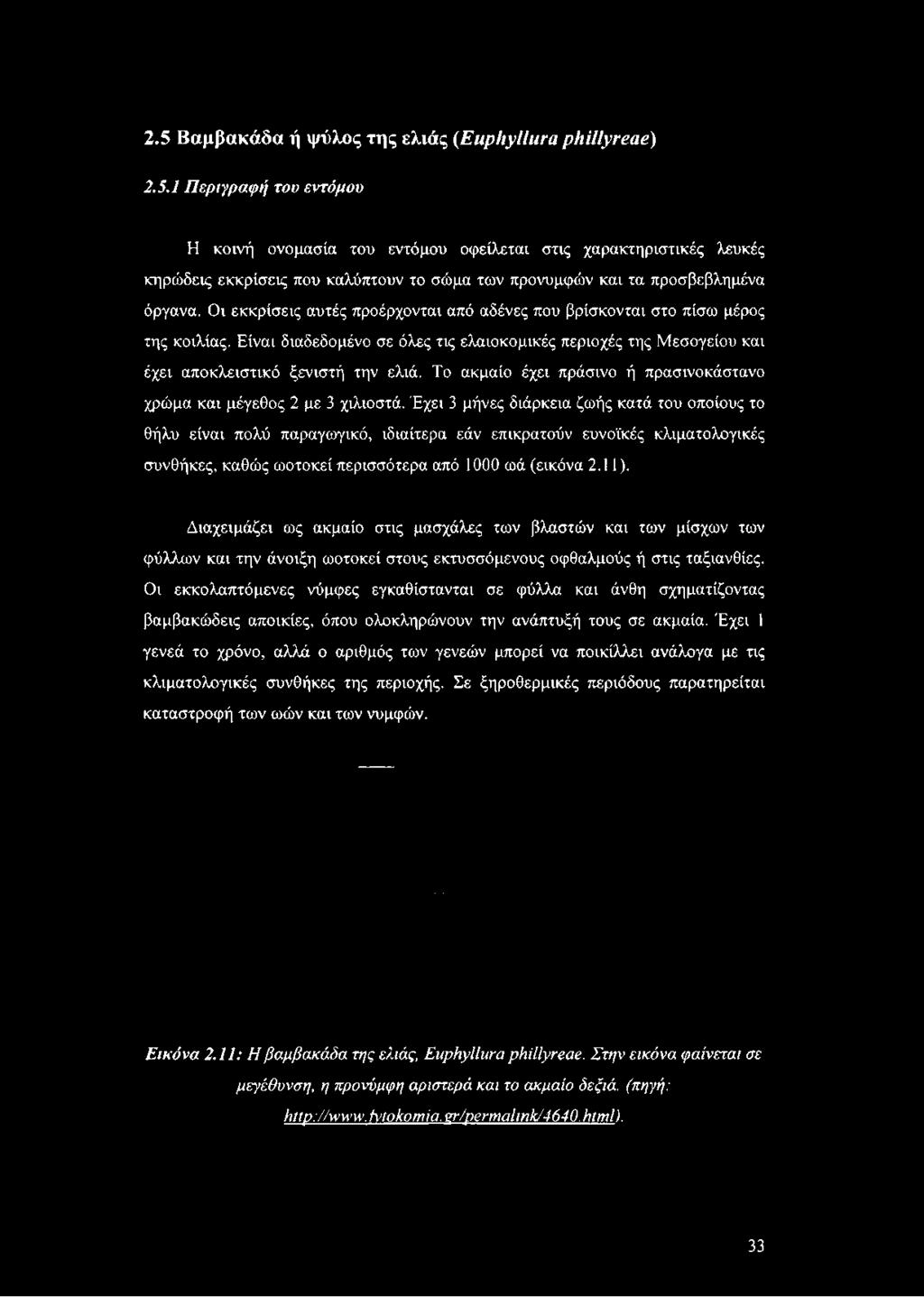 Το ακμαίο έχει πράσινο ή πρασινοκάστανο χρώμα και μέγεθος 2 με 3 χιλιοστά.