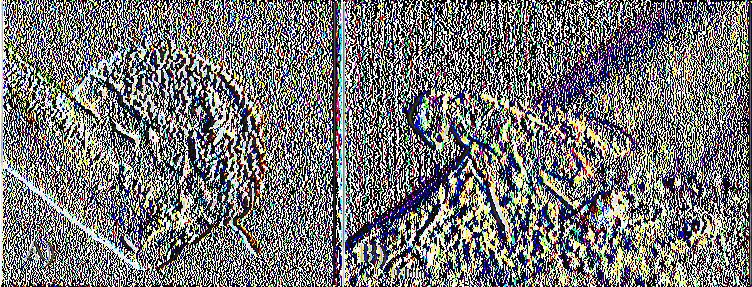 (http://www.plantpr0tecti0n.hu/m0dul0k/20r02/0live/0leander oliv.htm) (εικόνα 2.14). Συστήνεται αραίωμα της κόμης του δένδρου και αποφυγή υπερβολικής λίπανσης και άρδευσης.