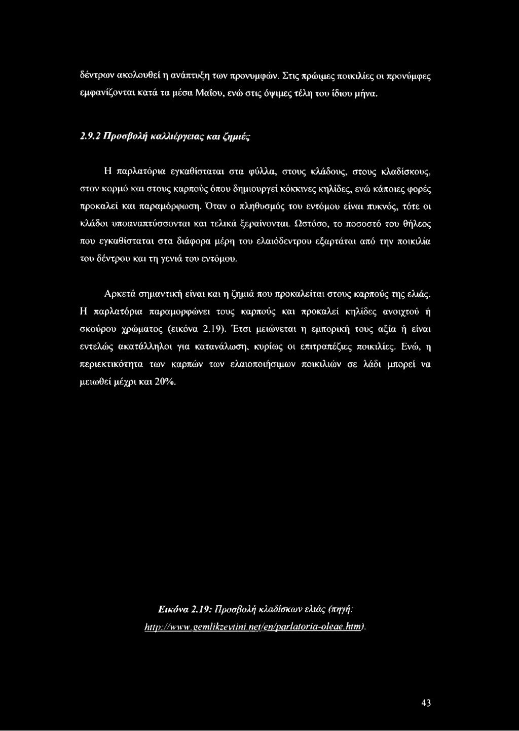 προκαλεί και παραμόρφωση. Όταν ο πληθυσμός του εντόμου είναι πυκνός, τότε οι κλάδοι υποαναπτύσσονται και τελικά ξεραίνονται.