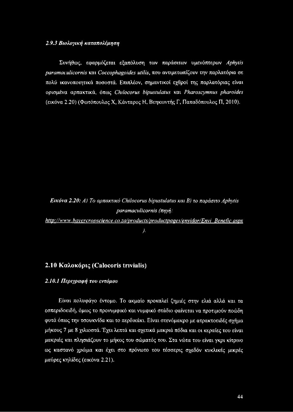 20) (Φωτόπουλος X, Κάνταρος Η, Βεηκωντής Γ, Παπαδόπουλος Π, 2010). Εικόνα 2.