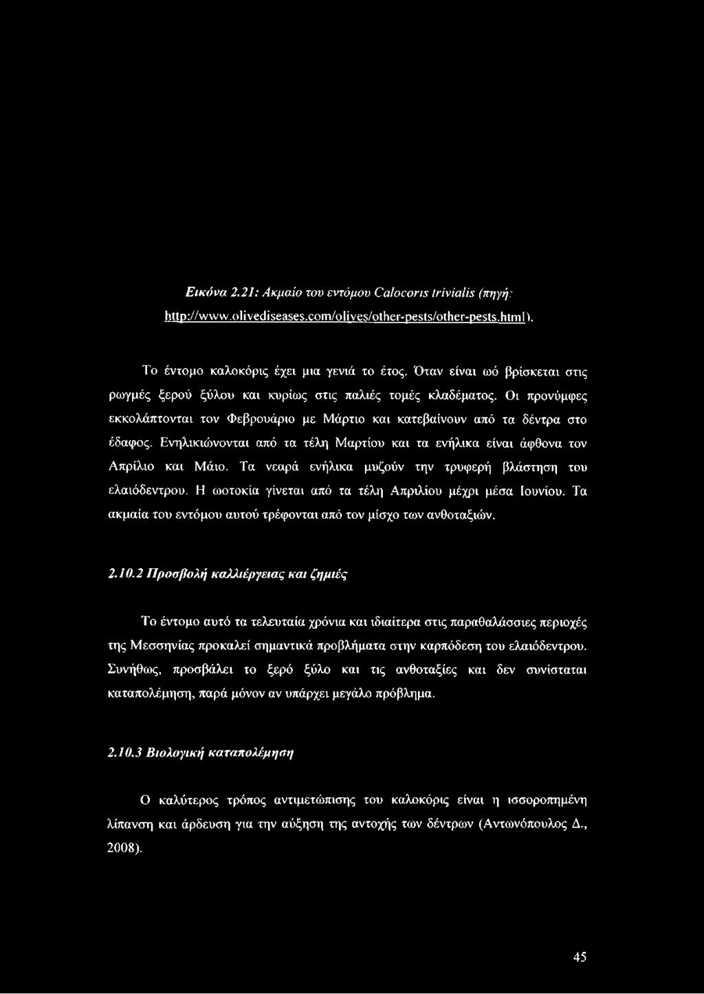 Ενηλικιώνονται από τα τέλη Μαρτίου και τα ενήλικα είναι άφθονα τον Απρίλιο και Μάιο. Τα νεαρά ενήλικα μυζούν την τρυφερή βλάστηση του ελαιόδεντρου.