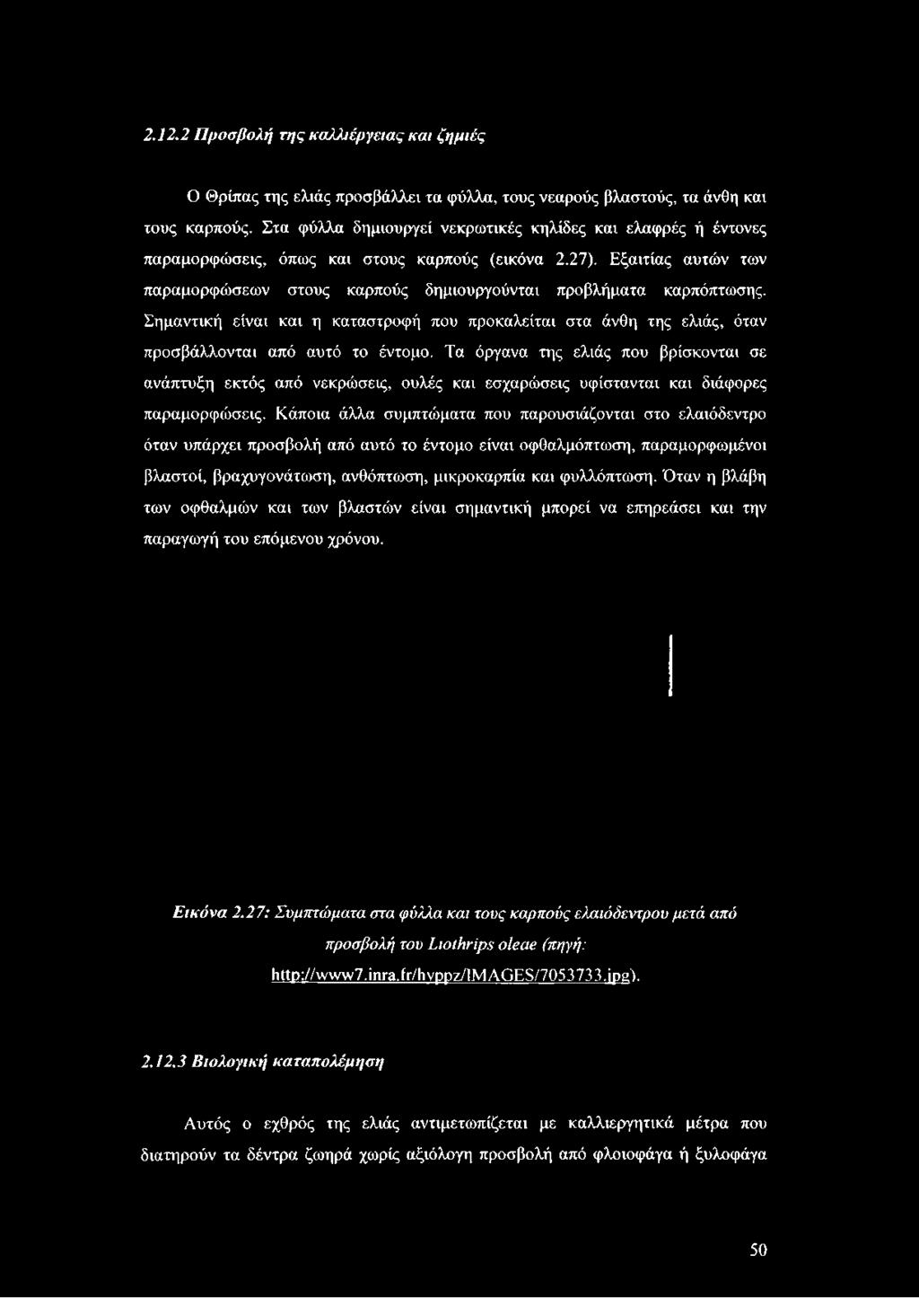 Σημαντική είναι και η καταστροφή που προκαλείται στα άνθη της ελιάς, όταν προσβάλλονται από αυτό το έντομο.