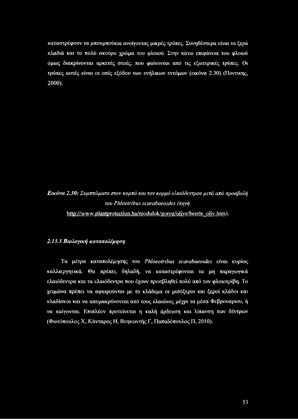 Οι τρύπες αυτές είναι οι οπές εξόδου των ενήλικων εντόμων (εικόνα 2.30) (Ποντικής, 2000). Εικόνα 2.