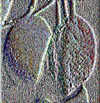 plantprotection.hu/modulok/gorog/olive/beetle _oliv.htm). 2.13.
