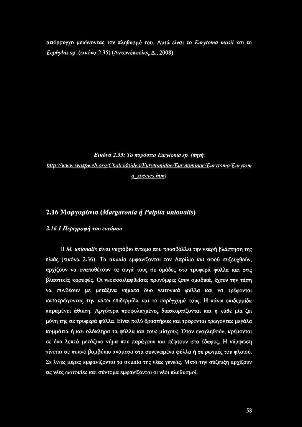 unionalis είναι νυχτόβιο έντομο που προσβάλλει την νεαρή βλάστηση της ελιάς (εικόνα 2.36).