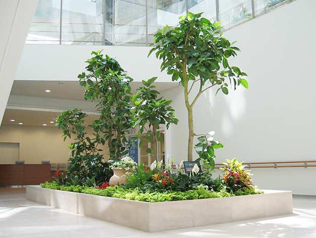 5. Ecology garden 8η ιουργία: Takenaka Garden Afforestration, Inc.