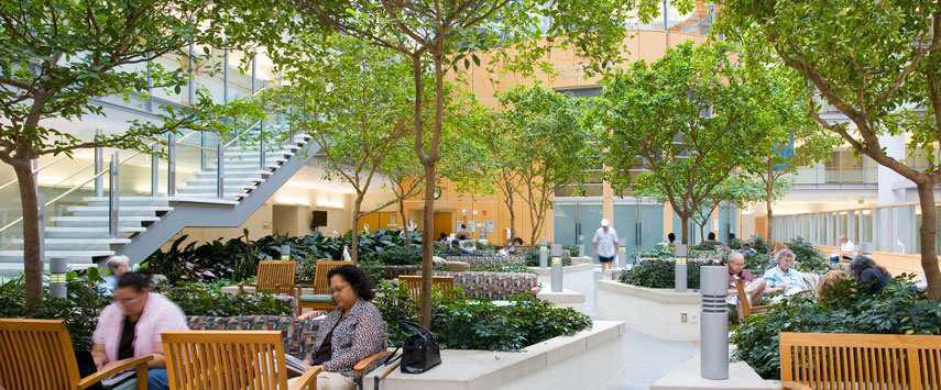 6. University of Maryland Medical System- Weinberg Building 8η ιουργία: Mahan Rykiel Associates Το κτίριο ευρίσκεται στη Βαλτι όρη και αποτελεί ένα έργο το οποίο αξιοποιεί σε εγάλο βαθ ό την