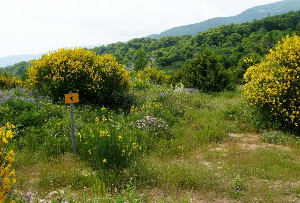 3. Αγ. Γεώργιος Νηλείας Κυκλικός Περίπατος Αυτή η πολύ ωραία διαδρομή των 5,5 χιλιομέτρων ακολουθεί την πλαγιά πάνω από τον Αγ. Γεώργιο και σε αποζημιώνει με μαγευτικές θέες.