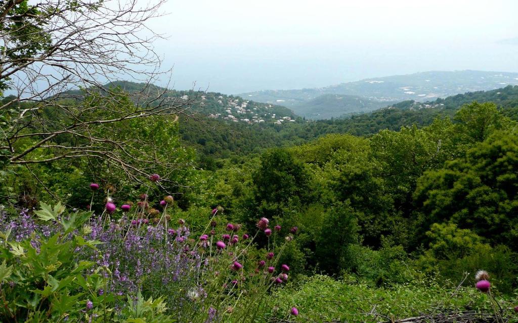 5. Το μονοπάτι μας οδηγεί σε ένα χωματόδρομο, στο σημείο που αυτός περνάει πάνω από το υδραγωγείο. Περνάμε το χωματόδρομο και ακολουθούμε το στενό μονοπάτι λίγο πάρα κάτω.