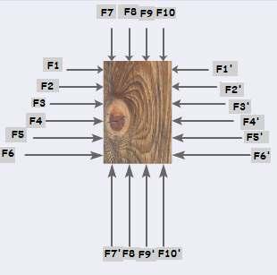 3.Πηγαινε στη διεύθυνση : http://digitalschool.minedu.gov.gr/modules/document/file.php/dsgym- B200/ExperimentsBGYM/bG/bG.html και στην πρώτη προσοµοίωση κάνε κλικ µόνο στη λέξη άνωση.