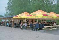 praznovanja, poroke.