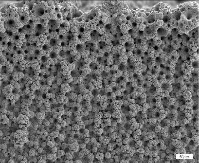 5 SEM micrographs of Ni-Co-Zn electrodeposit at 250mA/cm2 current