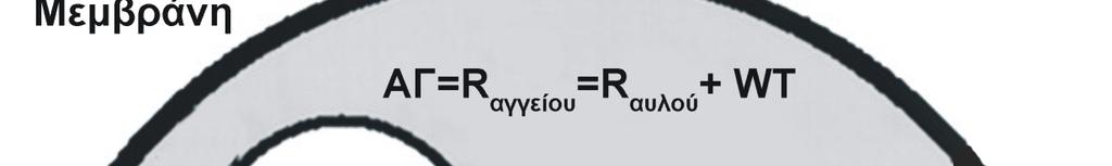 R αγγείου = R αυλού + WT (9) Για τον προσδιορισµό της εκκεντρότητας της πλάκας µετρήθηκε ο δείκτης