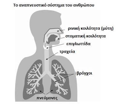 ΕΜΘΠΜ 15 ΕΙΚΟΝΑ 2.