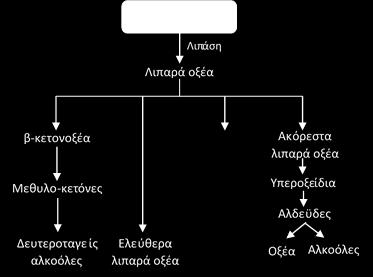 Tα ελεύθερα λιπαρά οξέα, που παράγονται κατά τη λιπόλυση, μικρής (-C4 έως -C12 και μεσαίας αλύσου (-C12 έως -C16), είναι αυτά που επηρεάζουν σε μεγαλύτερο βαθμό το άρωμα και τη γεύση των τυριών.
