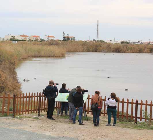 ΘΕΜΑΤΙΚΗ ΕΝΟΤΗΤΑ 5: ΔΙΑΧΕΙΡΗΣΗ ΒΙΟΤΟΠΩΝ Στόχος για την περίοδο 2014-2020 είναι να γίνει σωστή διαχείρηση των βιοτόπων που αποτελούν σημαντικές περιοχές για τη μετανάστευση των πουλιών και με μεγάλη