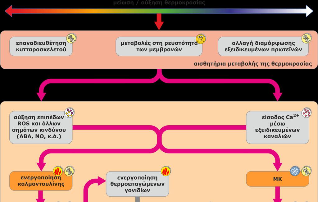 Αντίληψη
