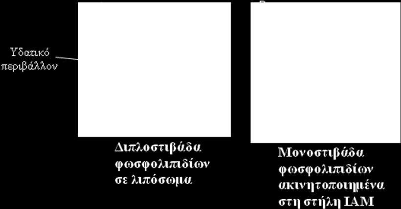 Τα λιποσώματα, από την άλλη πλευρά, αν και αποτελούν πιο αντιπροσωπευτικά συστήματα για το σκοπό αυτό, παρουσιάζουν δυσκολίες όσον αφορά στην παρασκευή τους και την επαναληψιμότητα των αποτελεσμάτων