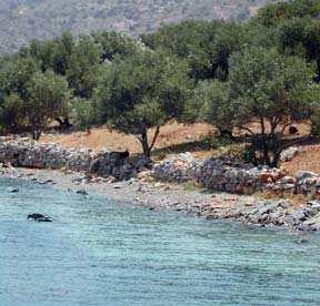 Νοέµβριος 2003