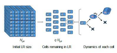 Log reduction in latent reservoir 5/2/206 Take home points There is no clinical assay for the latent reservoir Slide 49 of 54 DNA PCR assays widely used for reservoir analysis mainly defect grossly