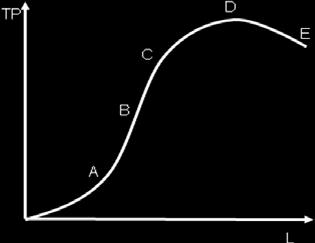 8. Ukoliko se poduzeće nalazi u točci A, tada znamo da MP rada a) opada b) raste c) u maksimumu je d) u minimumu je 9.