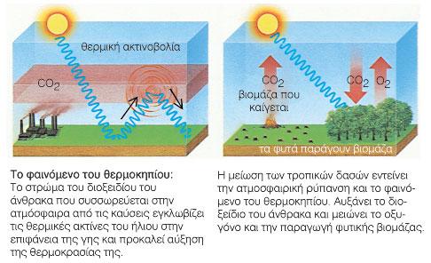 ΦΑΙΝΟΜΕΝΟ