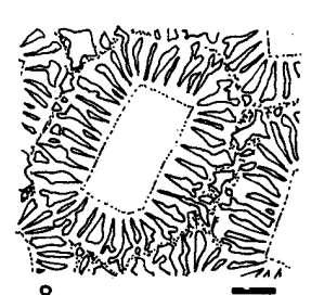 προϊόντα συγκρυστάλλωσης (intergrowths, symplectites). Σχ. 2.