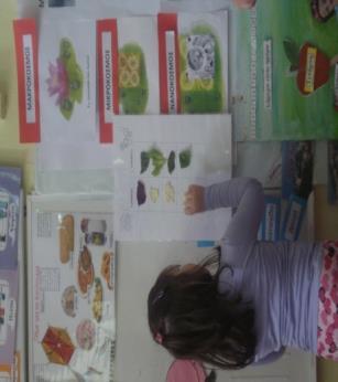 Σε αυτό έριξε ξύσματα μολυβιού, έδωσε μια βρεγμένη μπάλα φελιζόλ στους μαθητές και αυτοί έπρεπε να κυλήσουν τη μπάλα και να μαζέψουν τα ξύσματα.