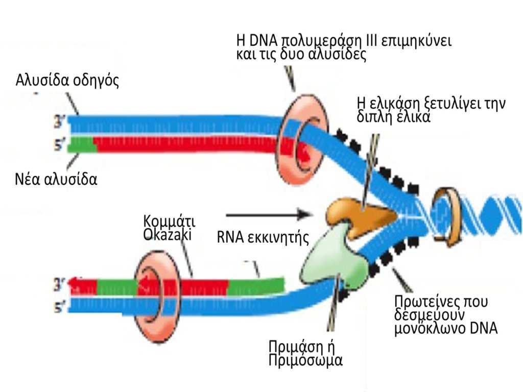 http://www.biostudio.