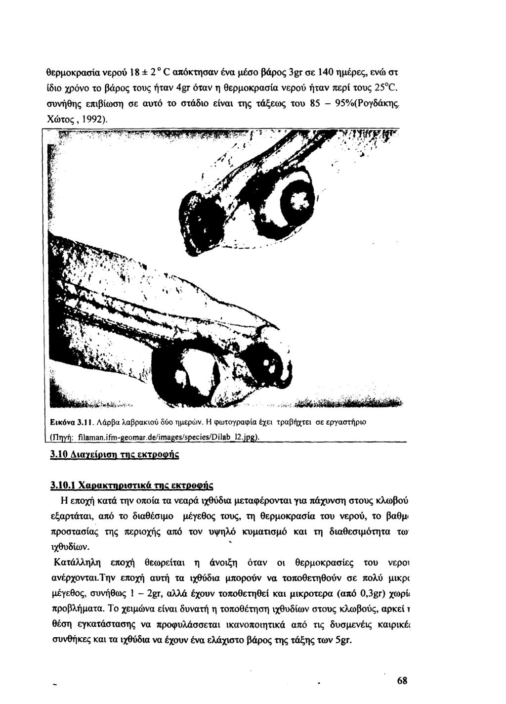 θερμοκρασία νερού 18 ± 20 C απόκτησαν ένα μέσο βάρος 3gr σε 140 ημέρες, ενώ στ ίδιο χρόνο το βάρος τους ήταν 4gr όταν η θερμοκρασία νερού ήταν περί τους 25 C.