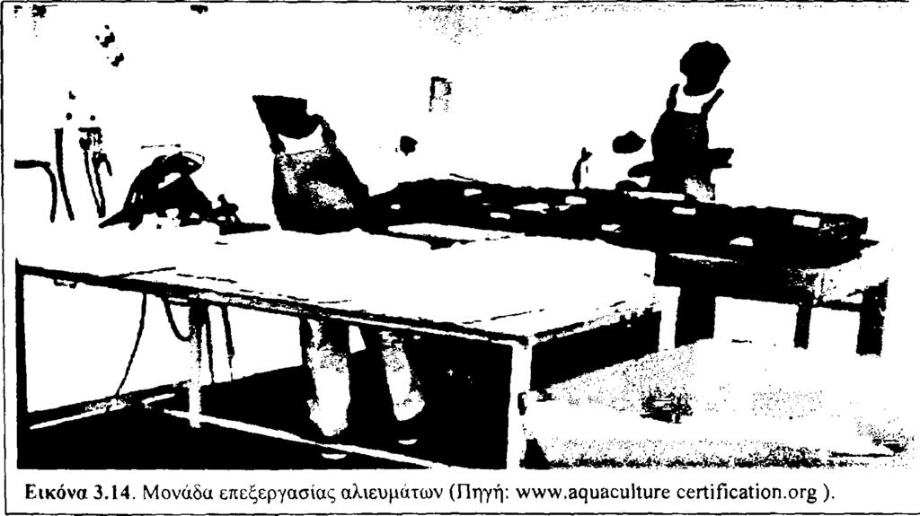 Οργανοληπτικές μέθοδοι για τον καθορισμό της φρεσκότητας του ψαριο εστιάζονται στα ακόλουθα χαρακτηριστικά: - Εμφάνιση και σκληρότητα : Η εμφάνιση των ματιών, βράγχιων και το δέρματος πρέπει να είναι