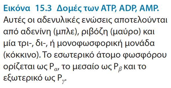 Το ενεργειακό νόμισμα του κυττάρου ΔG ο = -7,3 kcal/mol ΔG ο = -10,9 kcal/mol ATP + H2O ADP + Pi ΔG ο = -7,3 kcal/mol αλλά δεν είναι