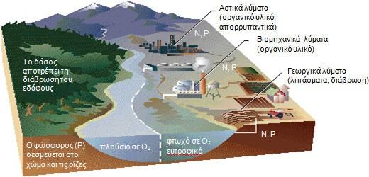 ΦΥΛΛΟ ΕΡΓΑΣΙΑΣ 3 Επεξεργαστείτε την παρακάτω εικόνα από την οπτική του καπέλου που φοράτε.