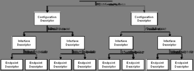 Περιγραφείς συσκευής (device descriptors) Περιγραφείς διαμορφώσεων (configuration descriptors) Περιγραφείς διεπαφής (interface descriptors) Περιγραφείς άκρων (endpoint descriptors) Περιγραφείς
