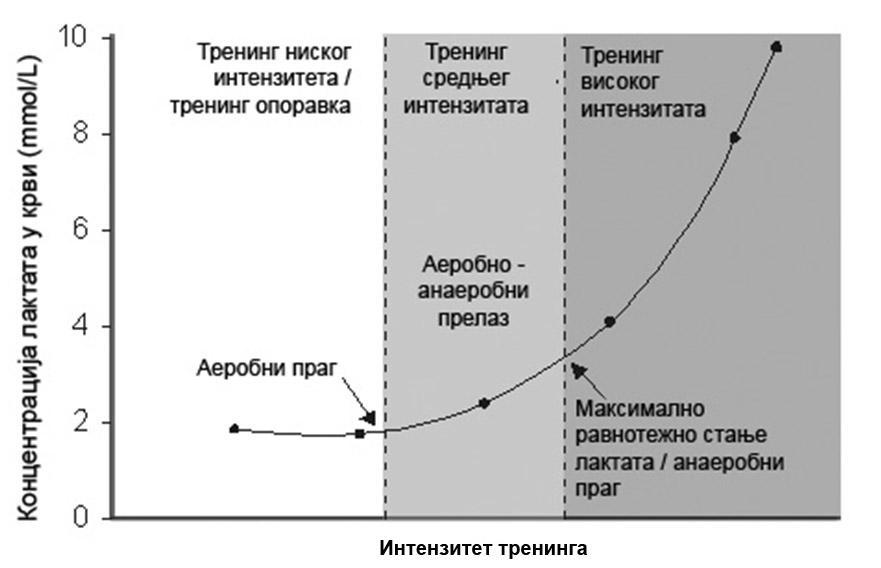 С т р а н а 10 повећањем брзине трчања, одстрањивање лактата не може више да прати повећано стварање лактата и ниво лактата у крви почиње да расте. Ова тачка се назива лактатни праг.
