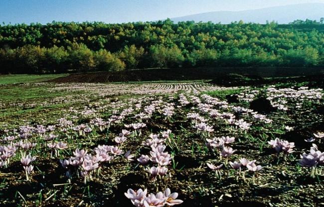 όρος βαθμοημερών θέρμανσης 2201 2620 Από τους υψηλότερους στην Ελλάδα.