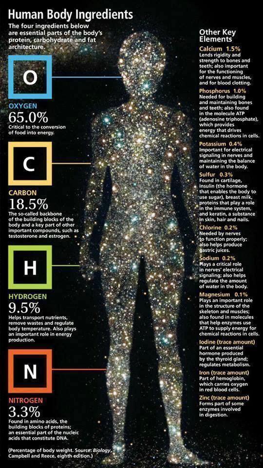 Από τι αποτελείται το σώμα μας; Όλα τα υπόλοιπα 90 χημικά στοιχεία γεννήθηκαν στο εσωτερικό των άστρων, στις θερμοπυρηνικές τους αντιδράσεις και στις